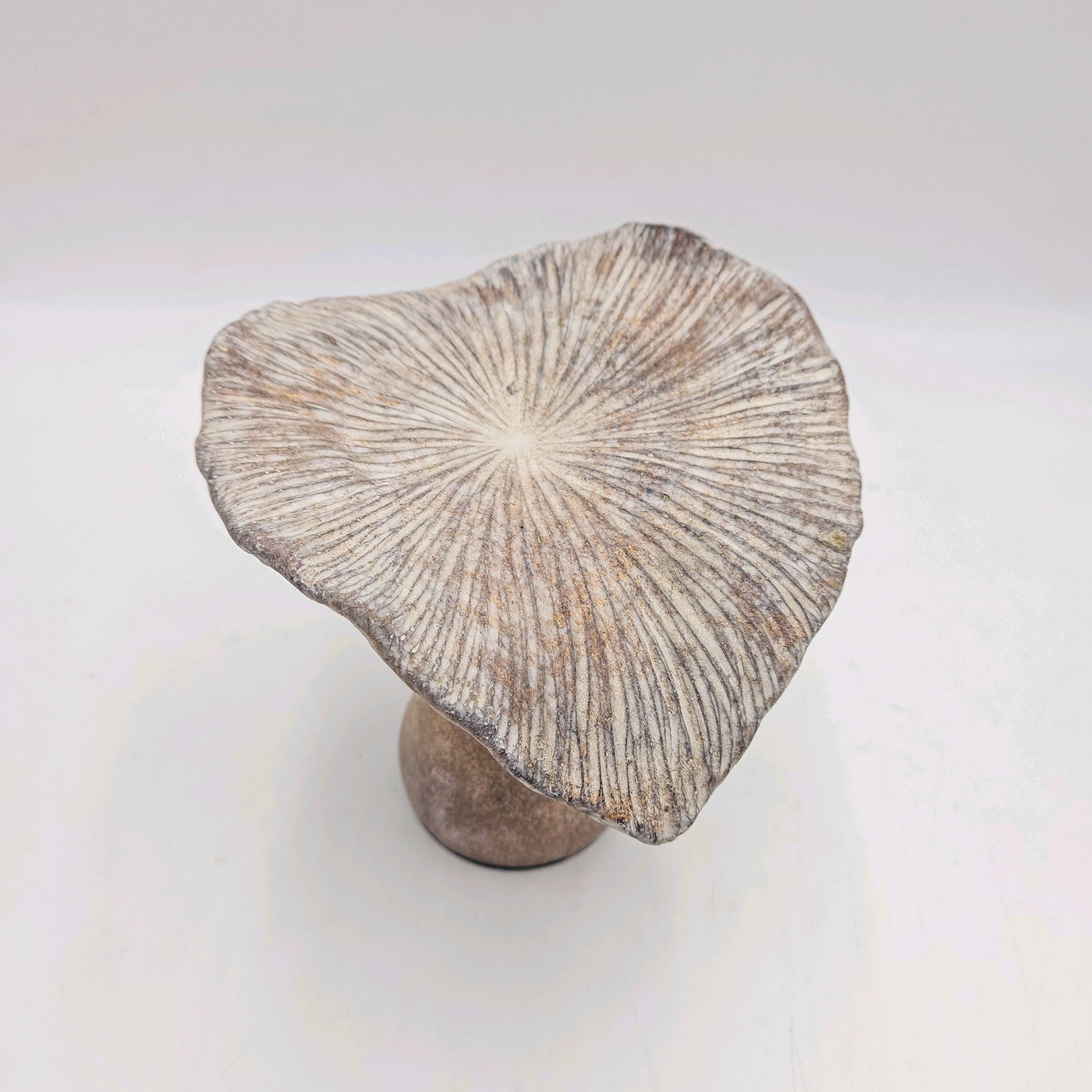 Decoración Figuras decorativas Envejecido