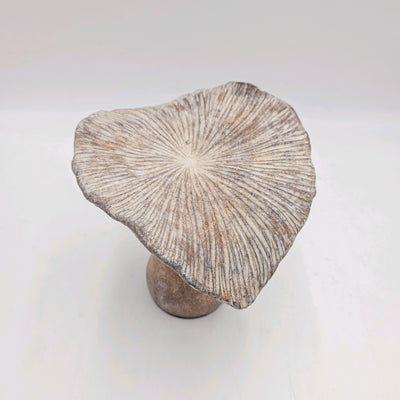 Decoración Figuras decorativas Envejecido