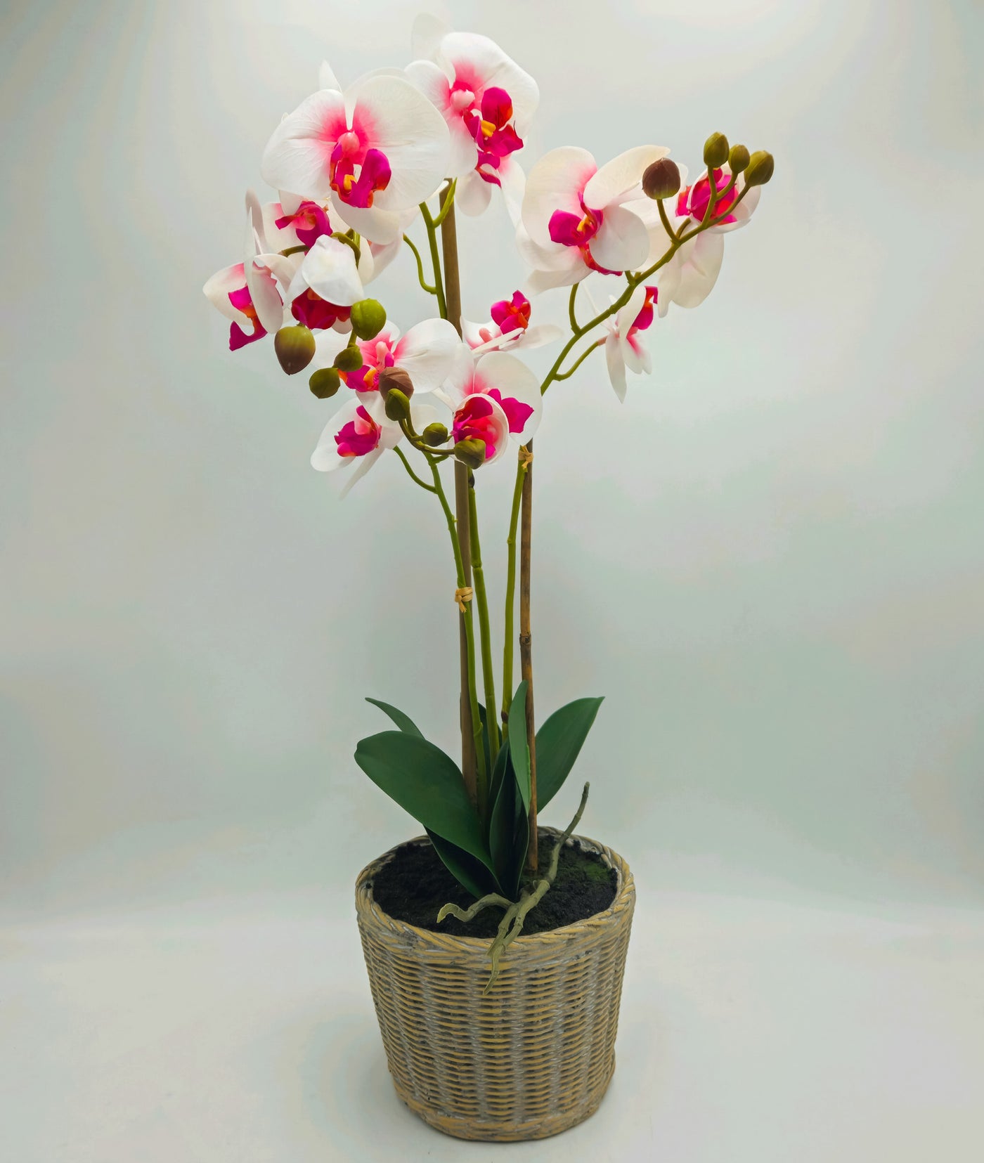 Decoración Flores y plantas Plantas Fibras sintéticas Blanco