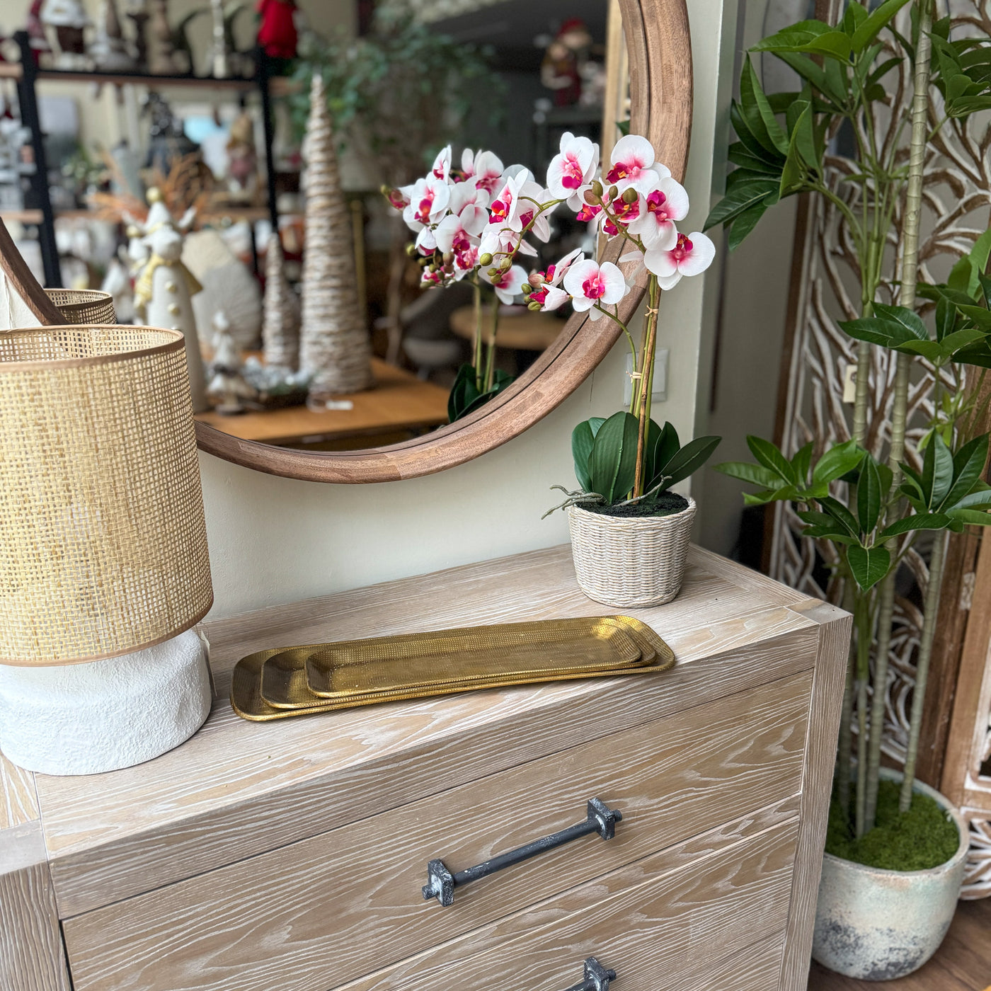 Decoración Flores y plantas Plantas Fibras sintéticas Blanco