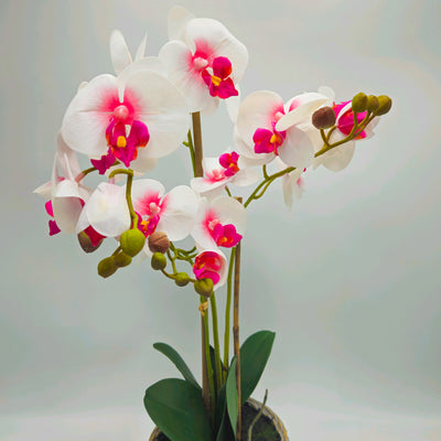 Decoración Flores y plantas Plantas Fibras sintéticas Blanco