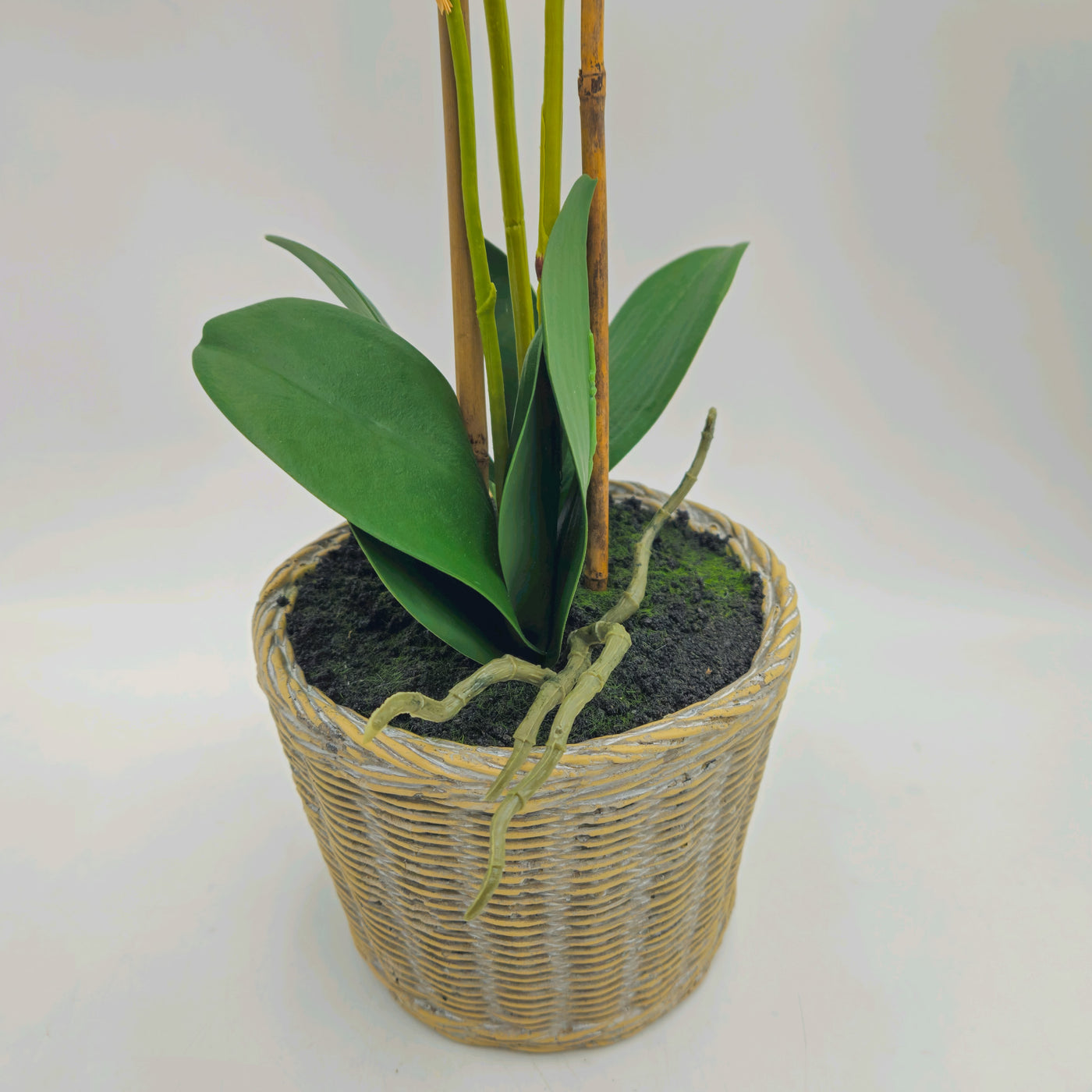 Decoración Flores y plantas Plantas Fibras sintéticas Blanco