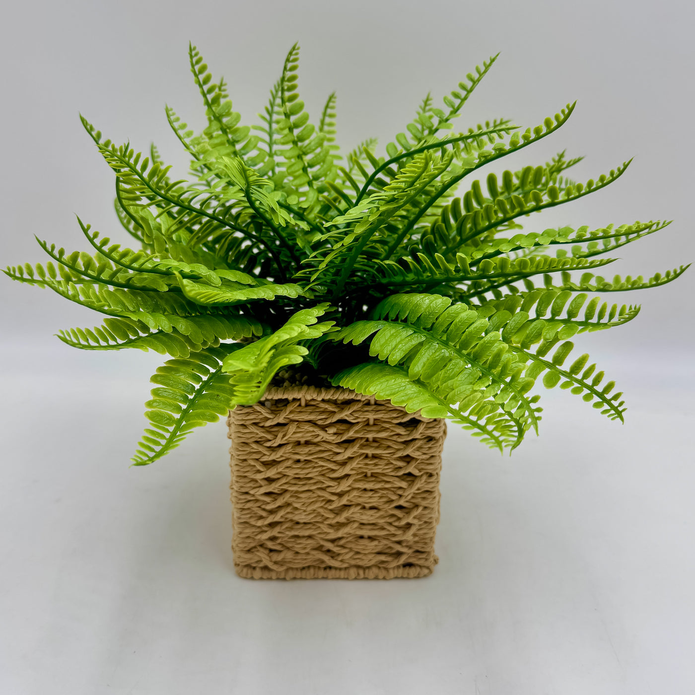 Decoración Flores y plantas Plantas Fibras sintéticas Verde