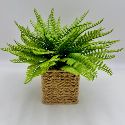 Decoración Flores y plantas Plantas Fibras sintéticas Verde