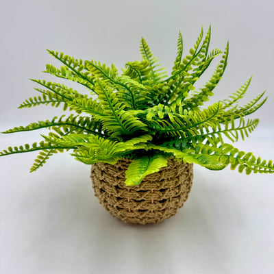 Decoración Flores y plantas Plantas Fibras sintéticas Verde