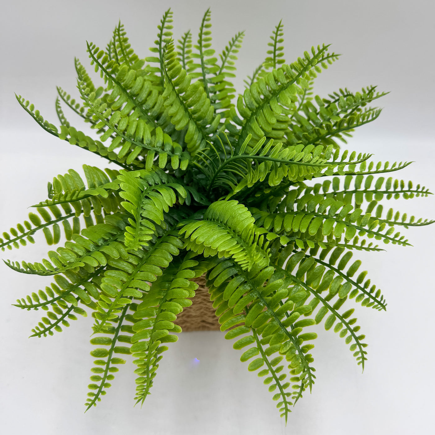 Decoración Flores y plantas Plantas Fibras sintéticas Verde