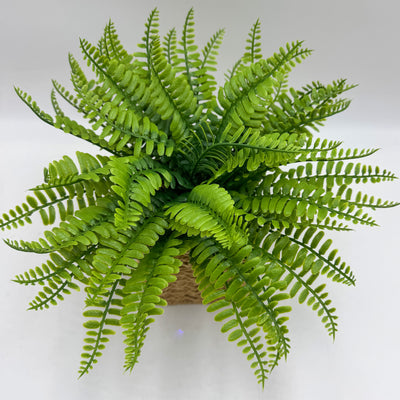 Decoración Flores y plantas Plantas Fibras sintéticas Verde