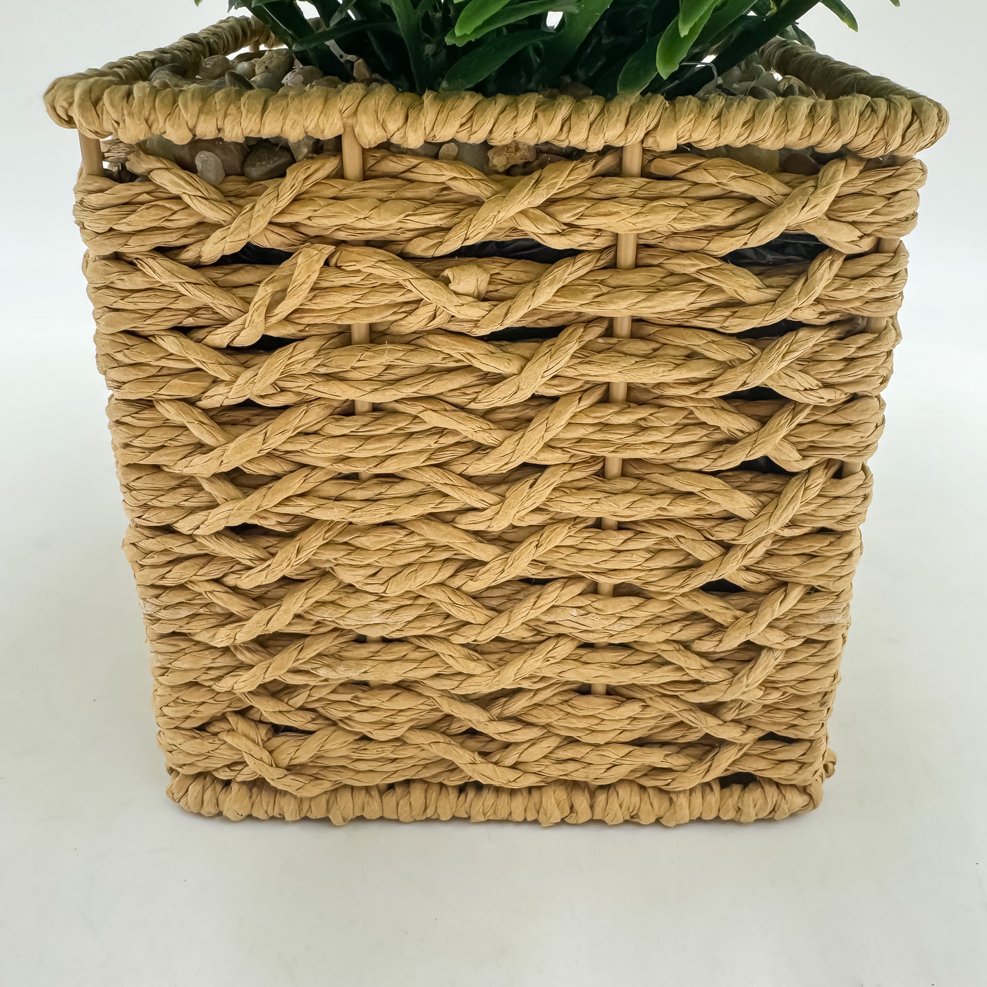 Decoración Flores y plantas Plantas Fibras sintéticas Verde