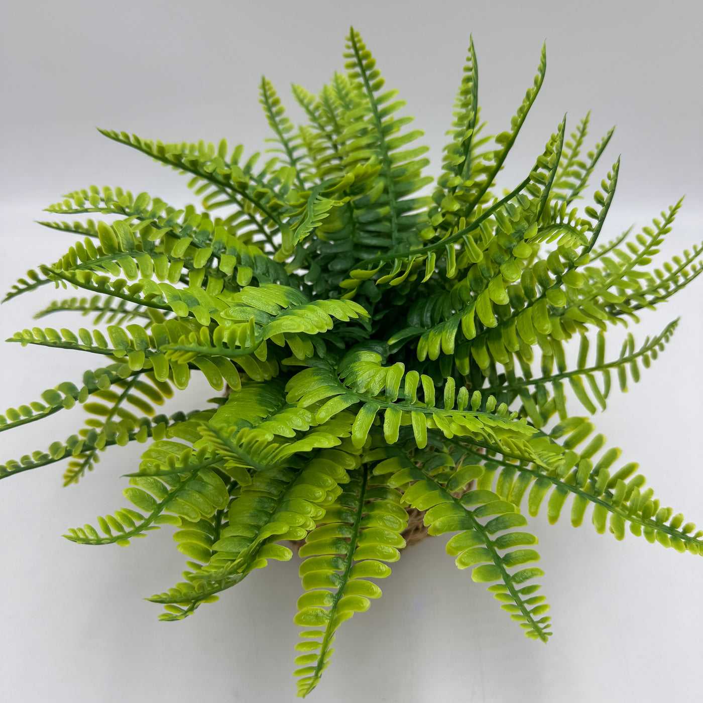 Decoración Flores y plantas Plantas Fibras sintéticas Verde