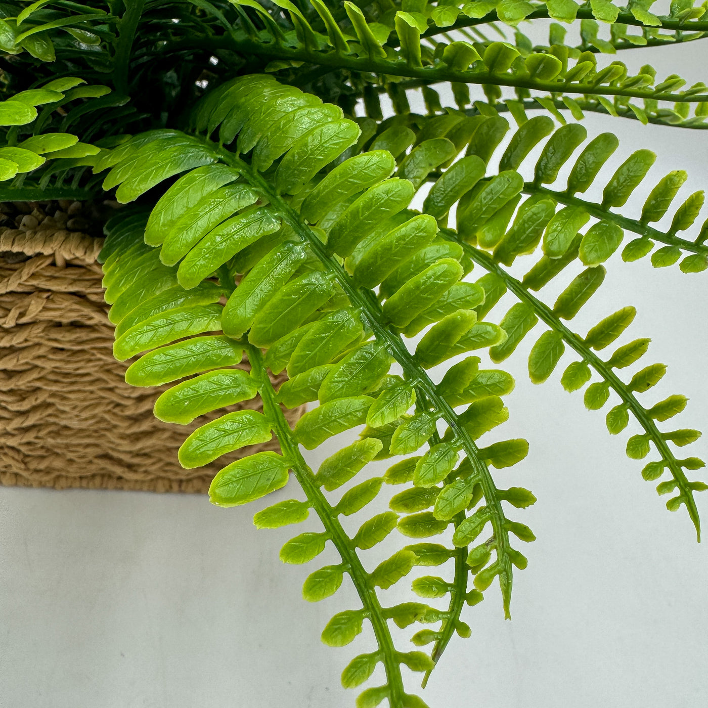 Decoración Flores y plantas Plantas Fibras sintéticas Verde