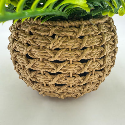 Decoración Flores y plantas Plantas Fibras sintéticas Verde