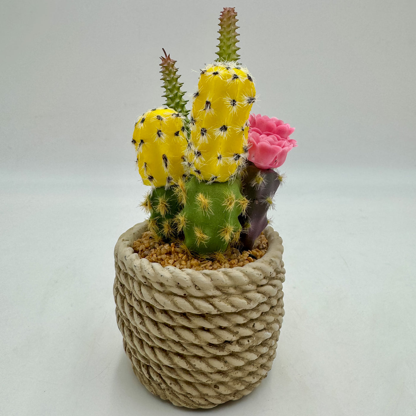 Decoración Flores y plantas Plantas Plástico Amarillo