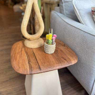 Decoración Flores y plantas Plantas Plástico Amarillo