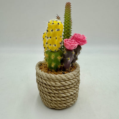 Decoración Flores y plantas Plantas Plástico Amarillo