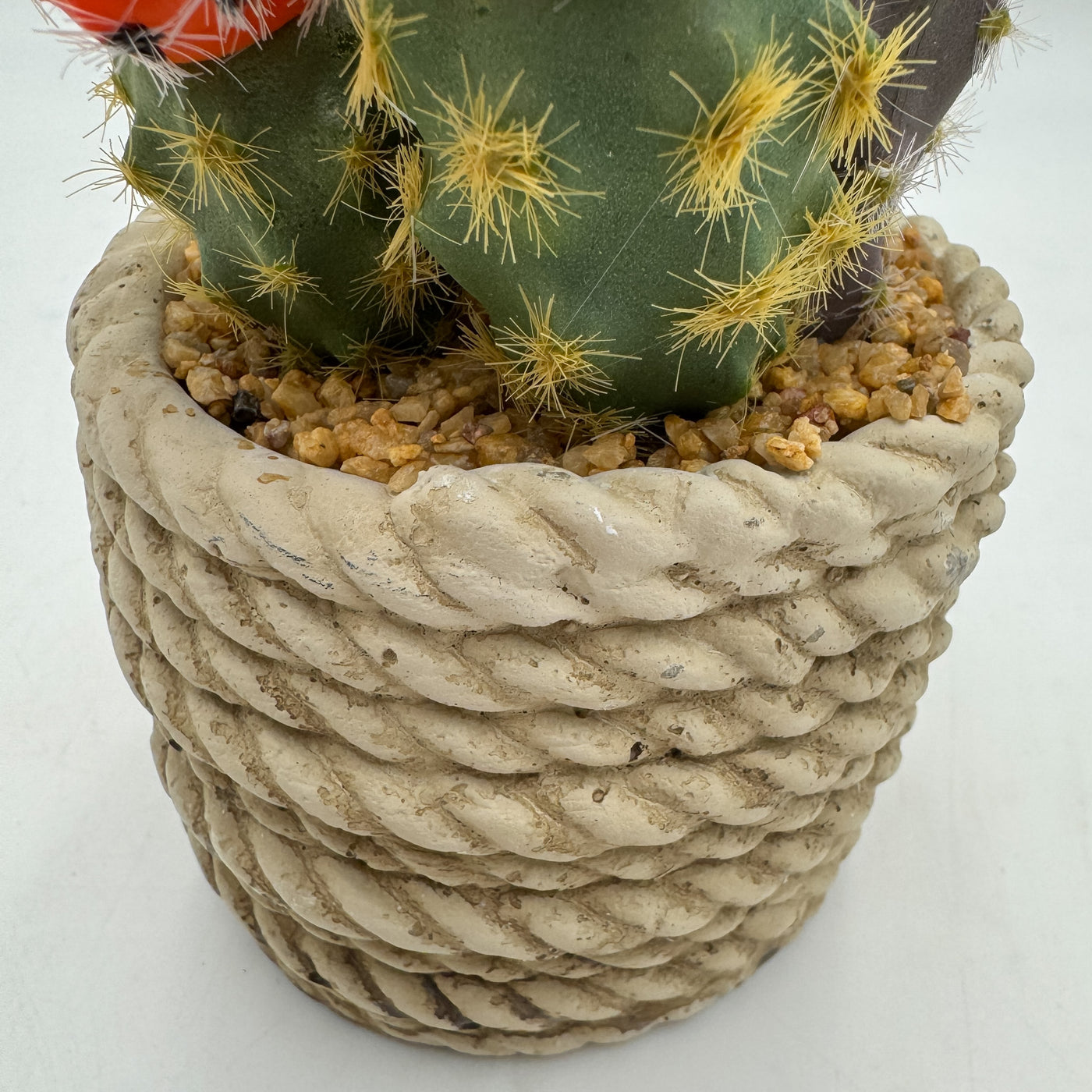 Decoración Flores y plantas Plantas Plástico Amarillo