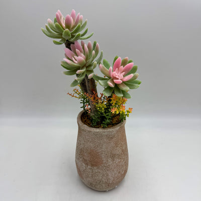 Decoración Flores y plantas Plantas Plástico Verde