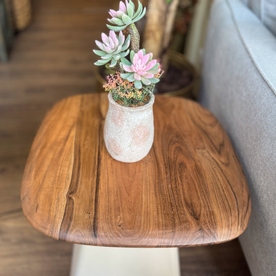 Decoración Flores y plantas Plantas Plástico Verde