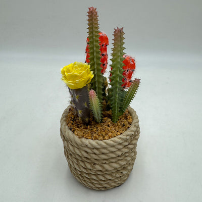 Decoración Flores y plantas Plantas Plástico Verde