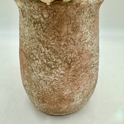 Decoración Flores y plantas Plantas Plástico Verde