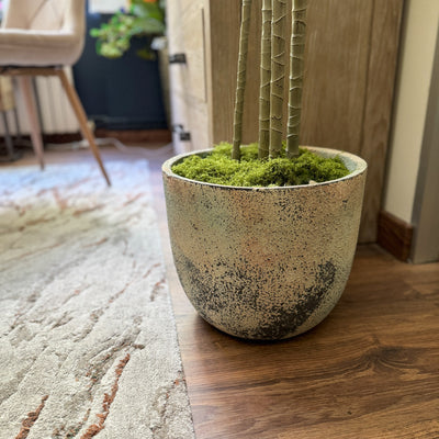 Decoración Maceteros y jardineras Cemento Verde