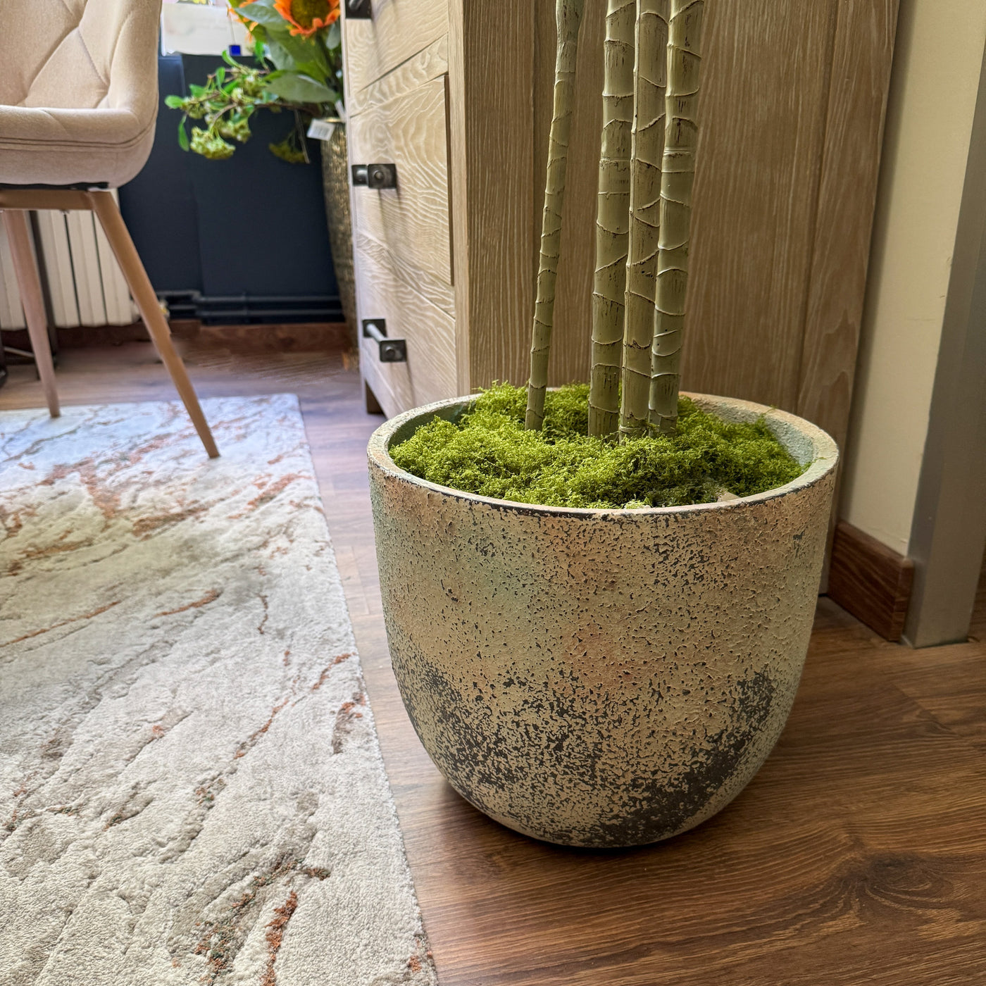 Decoración Maceteros y jardineras Cemento Verde