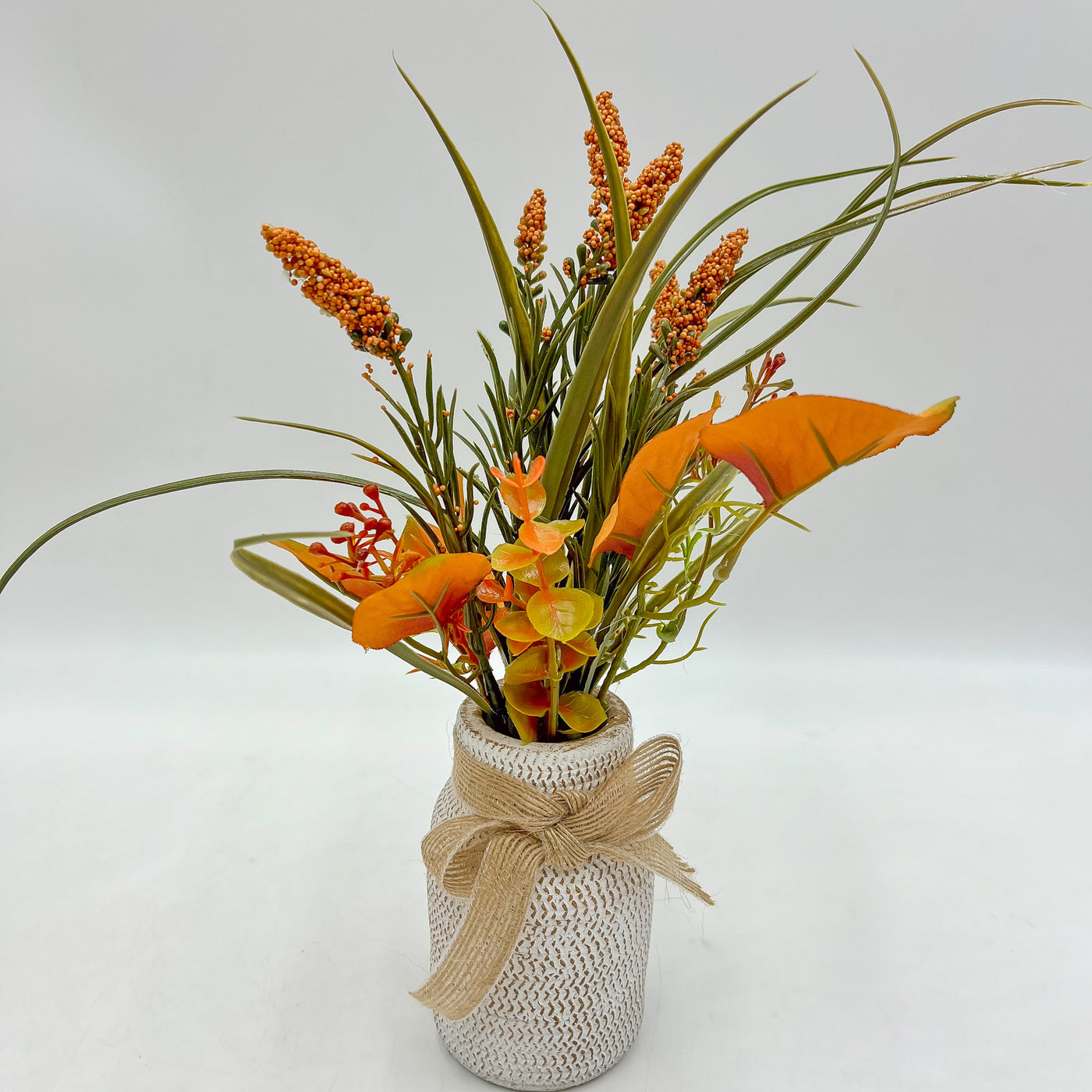Flores y plantas Plantas Cemento Naranja