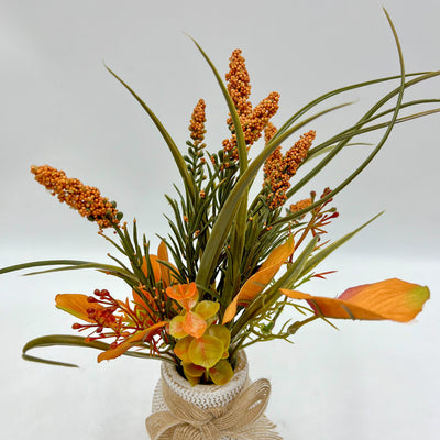 Flores y plantas Plantas Cemento Naranja