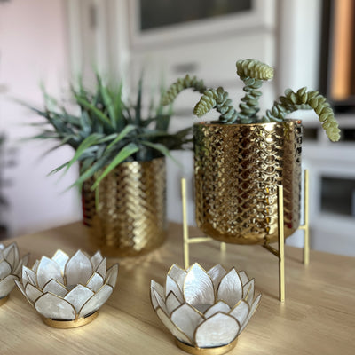 macetero-dorado-soporte-metal-dorado