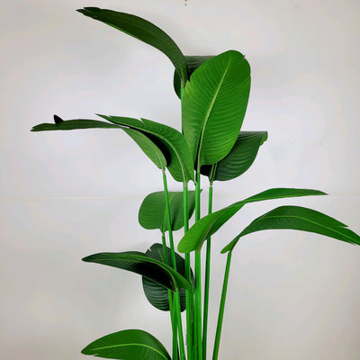 Flores y plantas Plantas Plástico Verde